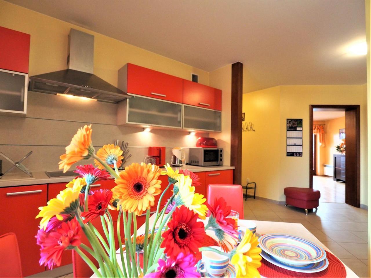 Ferienwohnung Apartament Widokowy Maki Zakopane Exterior foto